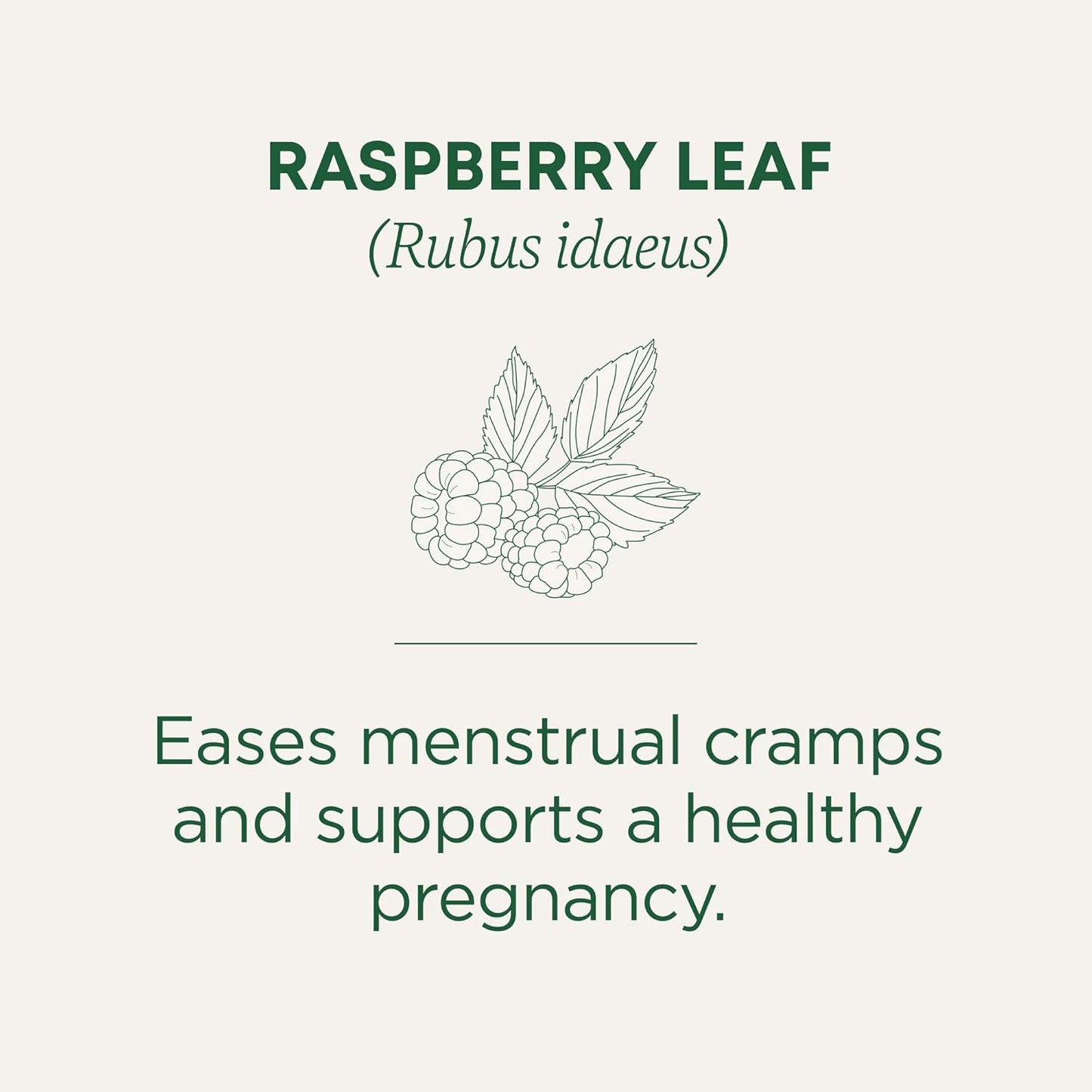 Traditional Medicinals Organic Raspberry Leaf Herbal Tea, Eases Menstr
