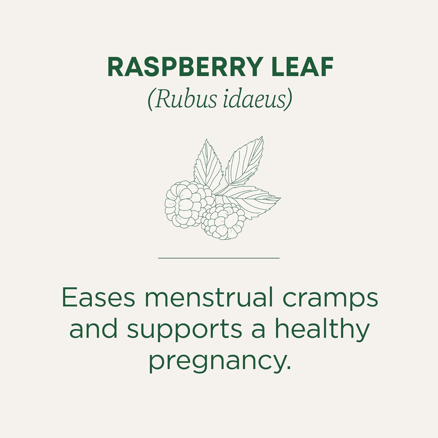 Traditional Medicinals Organic Raspberry Leaf Herbal Tea, Eases Menstr