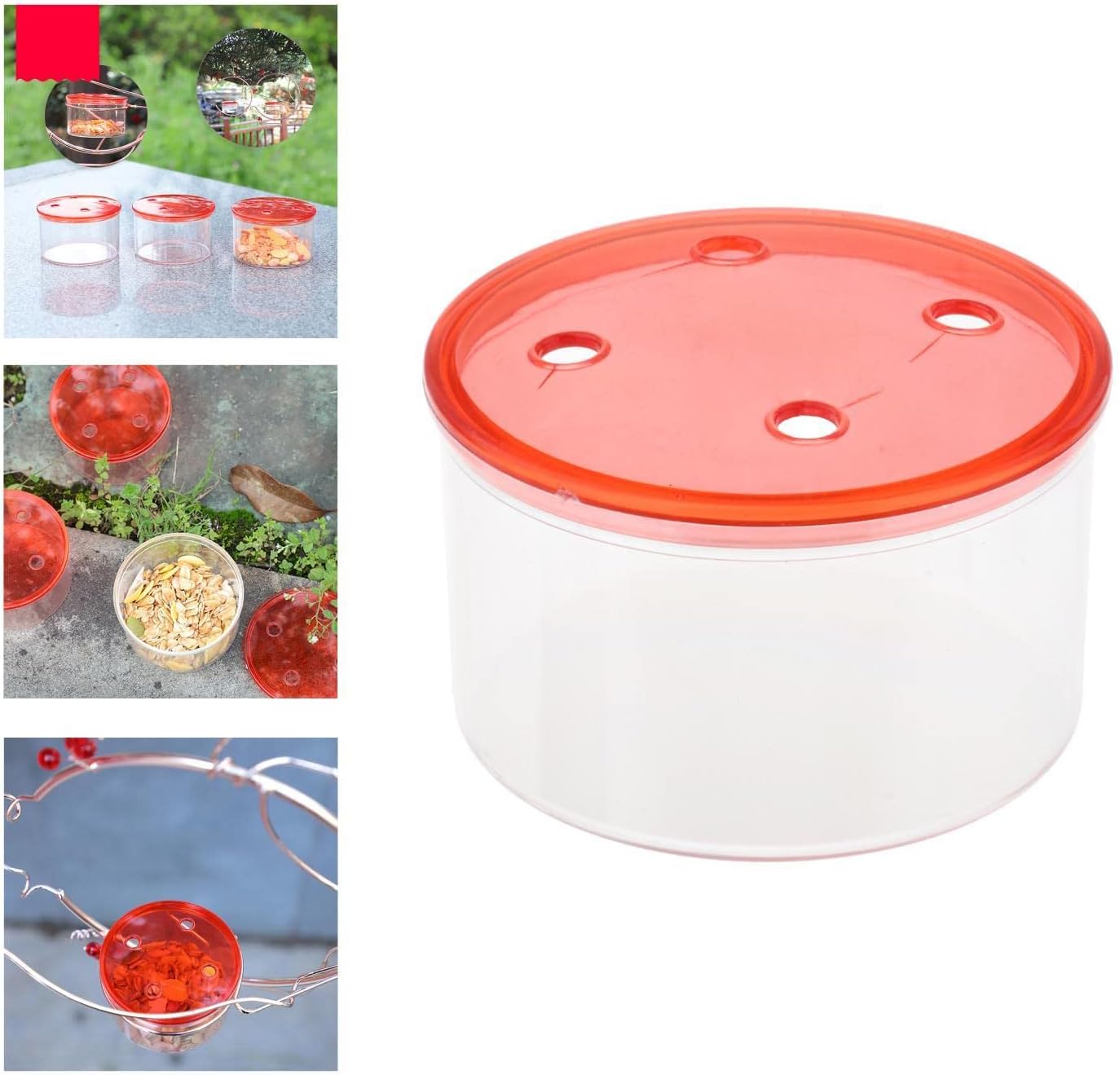 Attract Hummingbirds with Plastic Hummingbird Feeder Box - Durable and