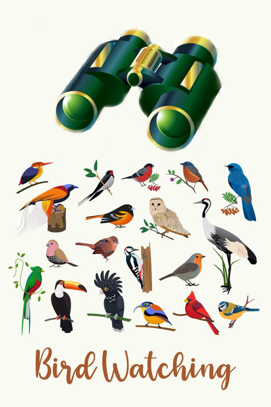 My Bird Watching Journal