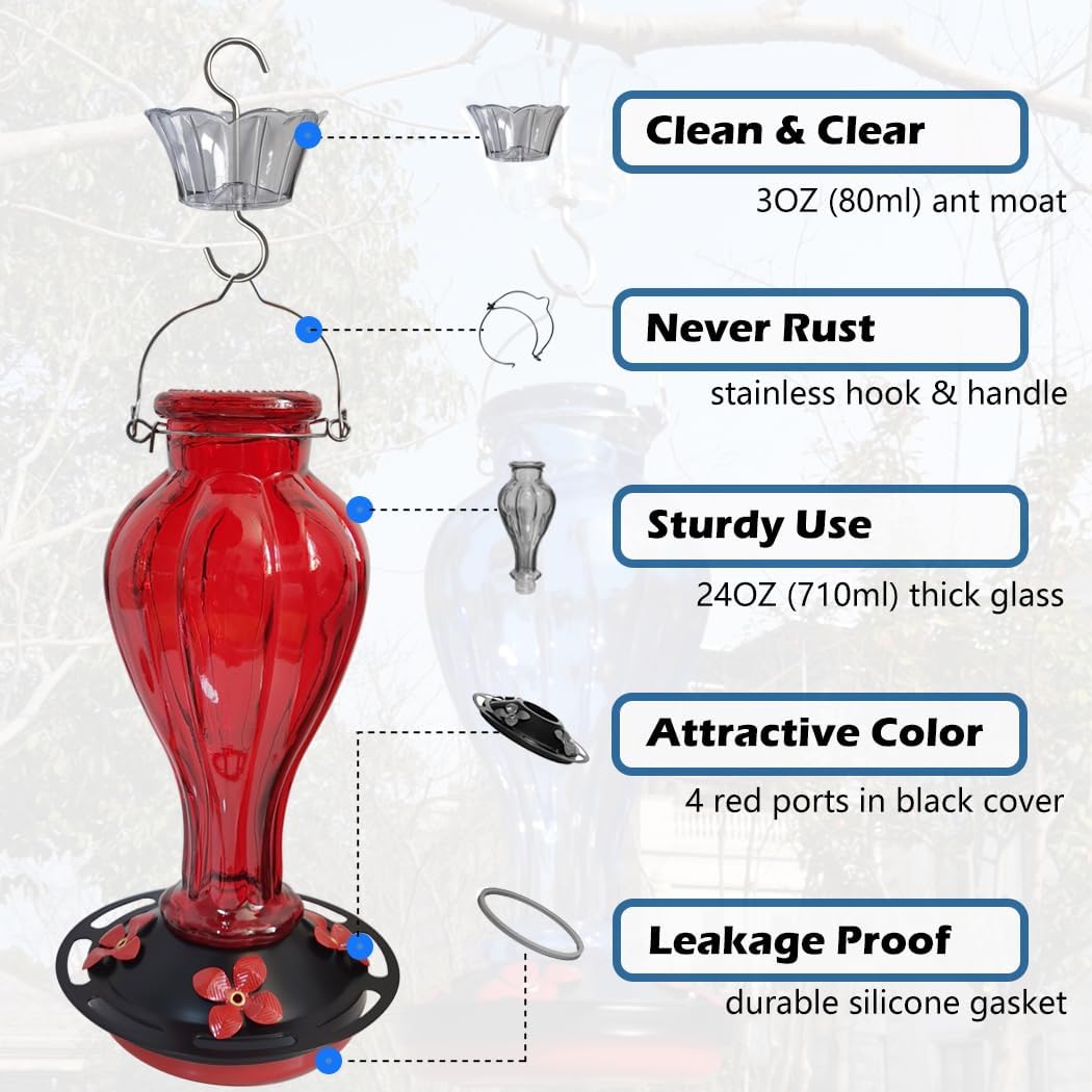 Hummingbird Feeder for Outdoors Hanging - Red Glass Nectar Feeding Bottle Including Clear Ant Moat - 24 OZ (710ml), 4 Red Flower Ports, Black Cover