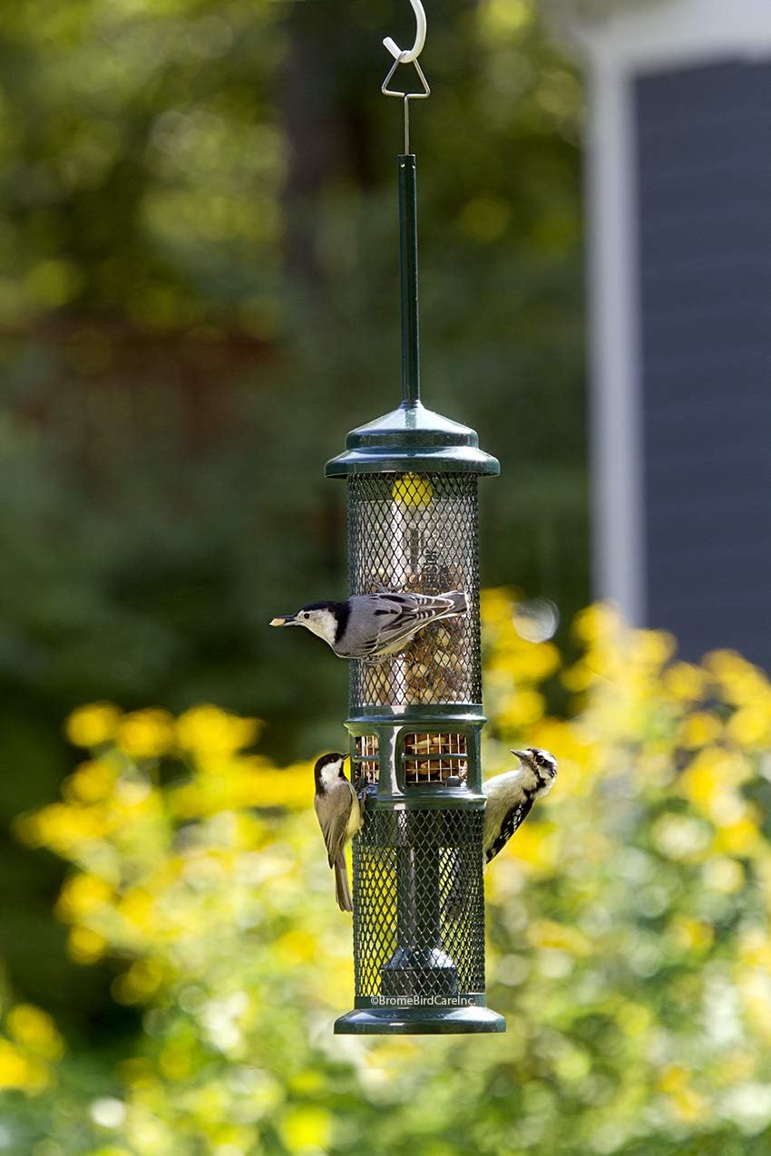 Squirrel Buster Squirrel-Proof Bird Feeder w/2 Suet Cake Trays, 2 Crumb Ports, Mess-Free Suet Loading, Green & Nut Feeder for Nuts and Fruit, Two Meshes
