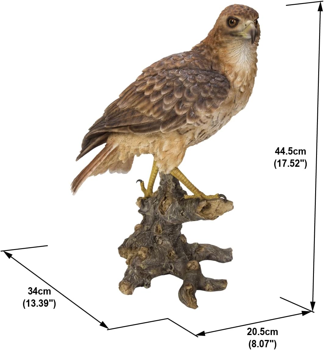 Hi-Line Gift Ltd Wild Hawk Standing on Branch Garden Statue