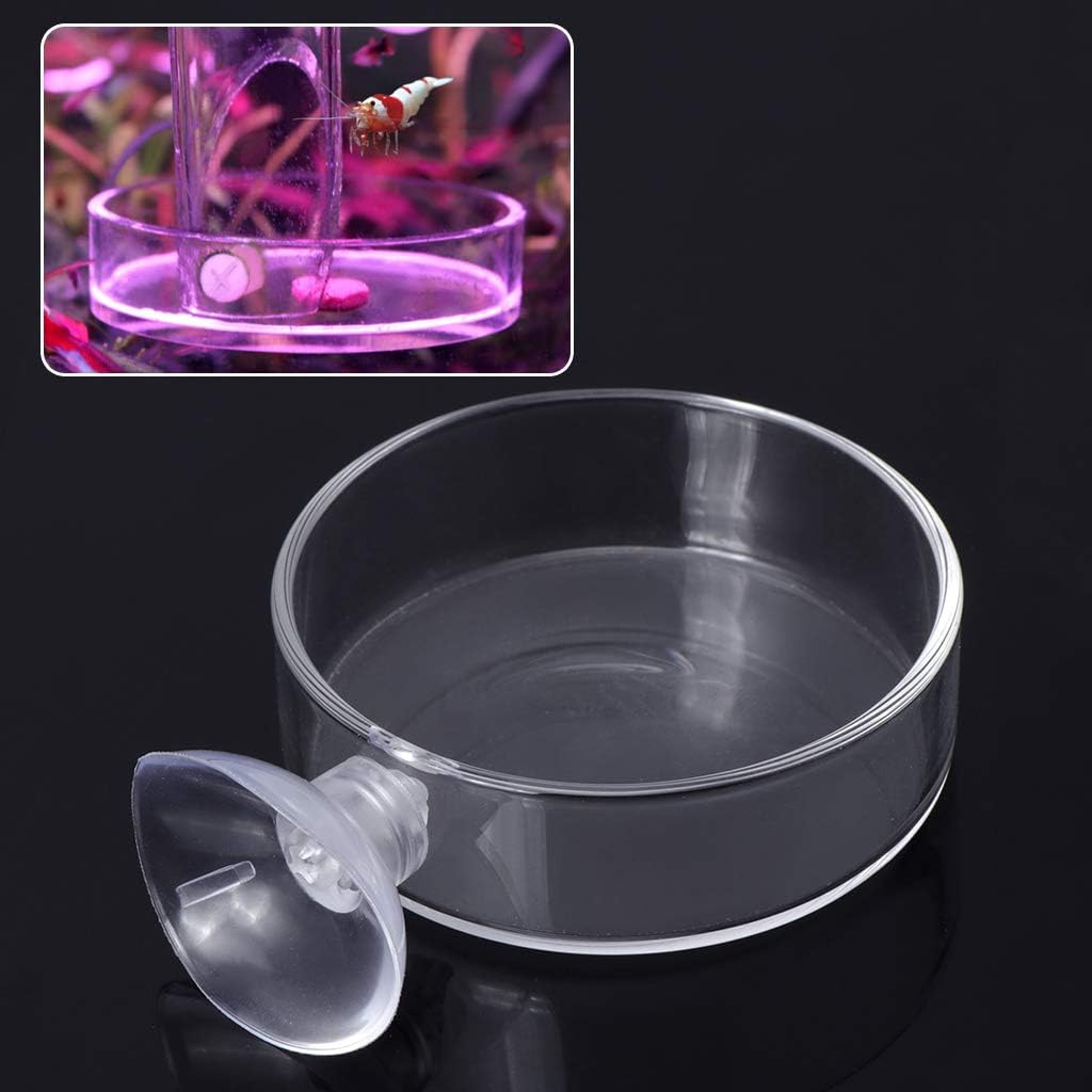 Aquarium Shrimp Feeding Dish with Suction Cup High Transparent Glass B