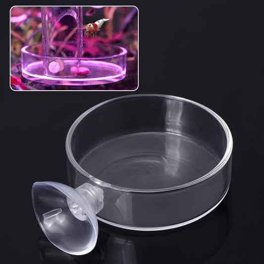 Aquarium Shrimp Feeding Dish with Suction Cup High Transparent Glass B