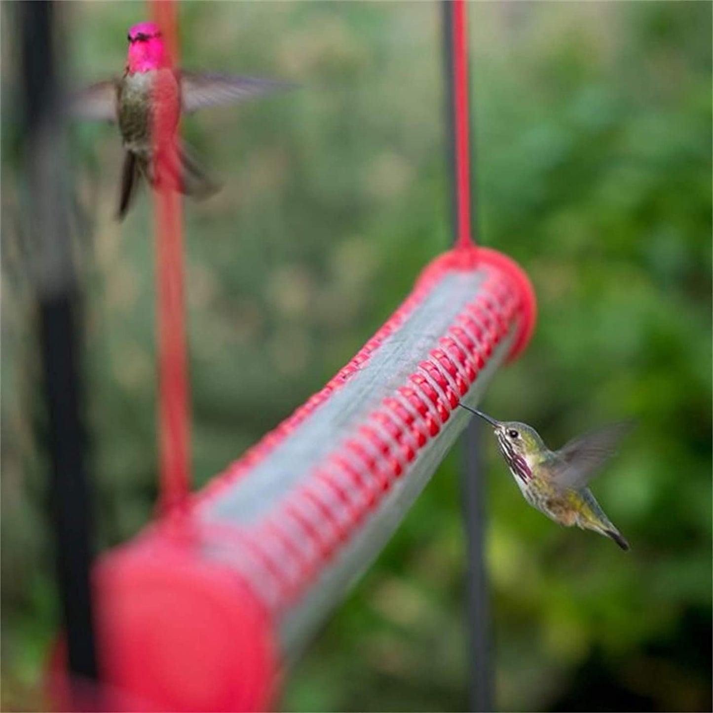 Hummingbird Feeder Transparent Tube Horizontal Hummingbird Feeders for