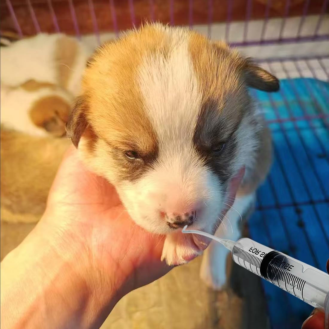11pcs Puppy Kitten Feeding Tube Kit for Small Animals and Clear Feedin