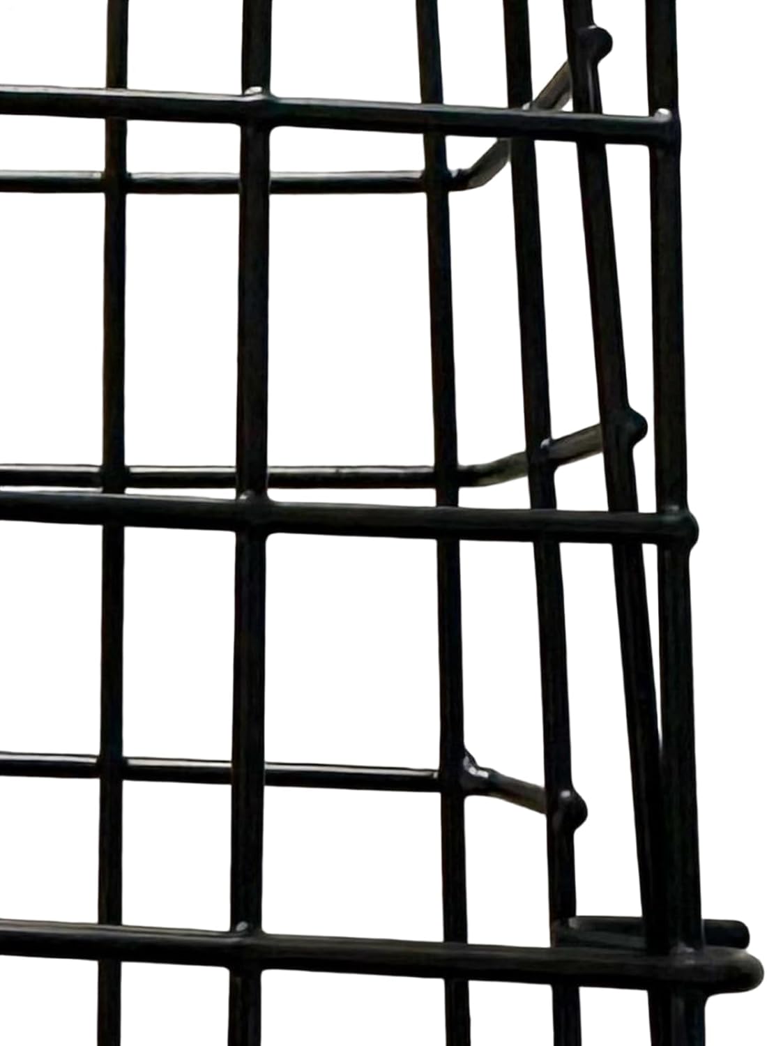 Suet Bird Feeder | Reusable Squirrel Proof Birdwatching Feeding Station - Squirrel Proof Suet Feeder - for Balcony Garden Yard Patio Outdoor Outside Hummingbirds Woodpeckers