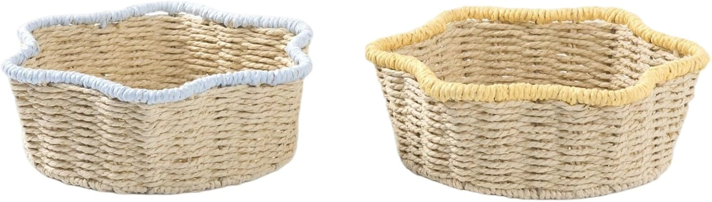 Handwoven Paper Rope Basket with Iron Frame Desktop Plant Holder & Hom