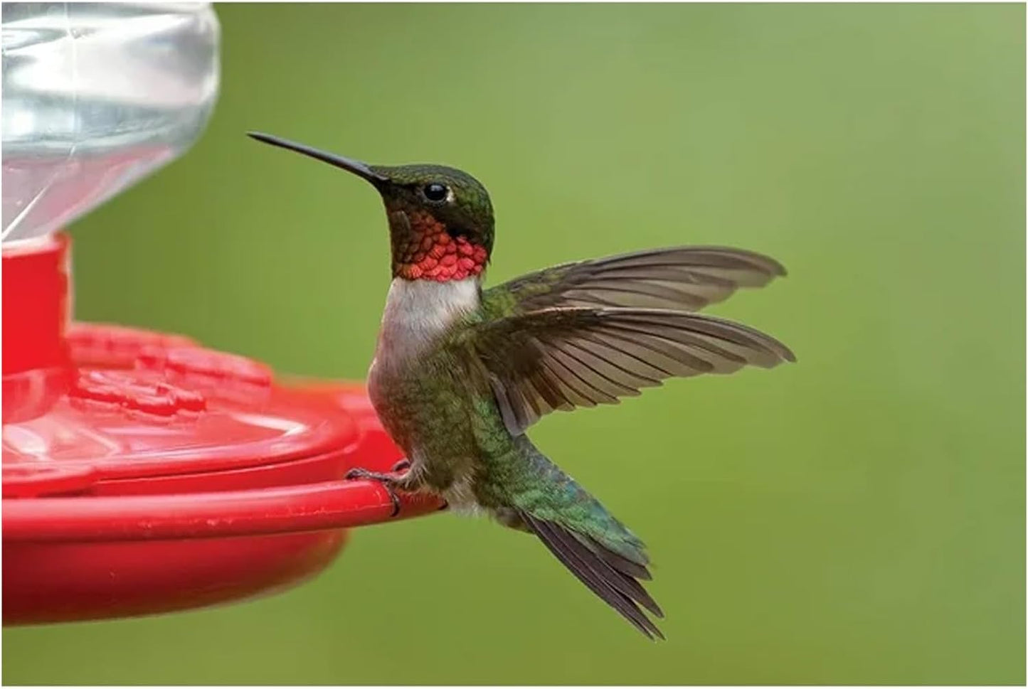 First Nature Hummingbird Feeders 32-Ounce 2-Pack