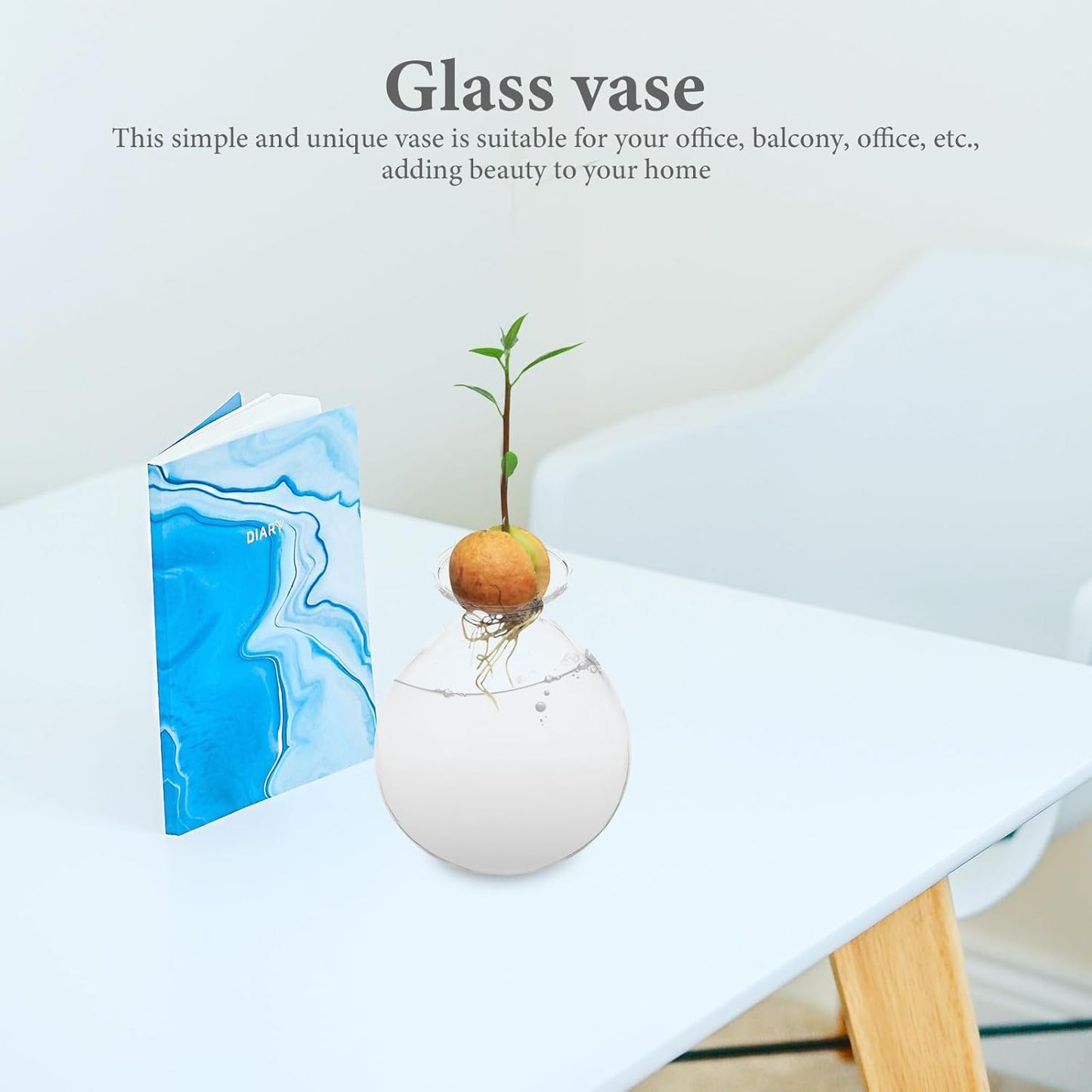PRETYZOOM Avocado Seed Planter Glass Water Plant Vase Succulent Shape Hydroponic Flower Pot for Indoor Green Plant Propagation Home Décor