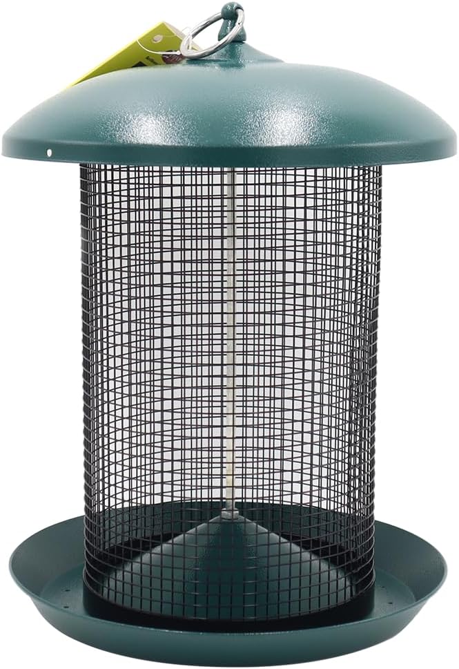 Zenport Z203010 Hanging Bird Seed Screen Feeder