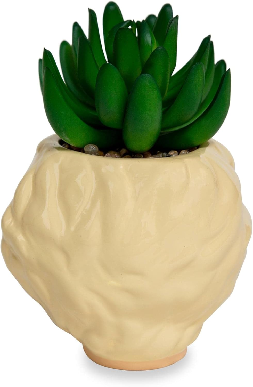 Toynk The Golden Girls Rose 3-Inch Ceramic Mini Planter with Artificial Succulent | Cute Small Flower Pot, Faux Indoor Plants