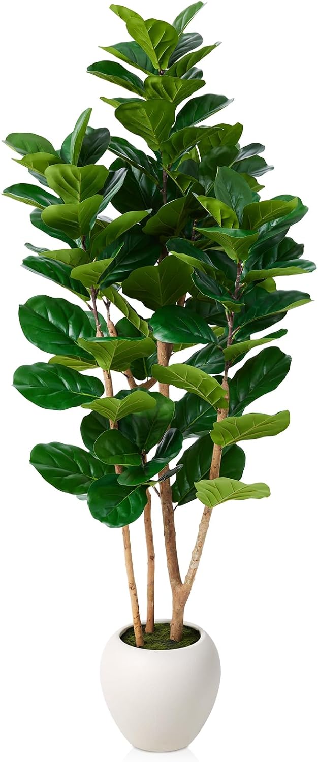 6FT Artificial Fiddle Leaf Fig Tree with White Planter - Tall Fake Tree, 3 Real Wood Trunks, Real Moss Pot, Artificial Plants Indoor Faux Tree for Home Living Room Office Decor, VN244