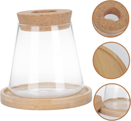 PRETYZOOM 1set Hydroponic Glass Vase Simple Flower Pot for Office Home