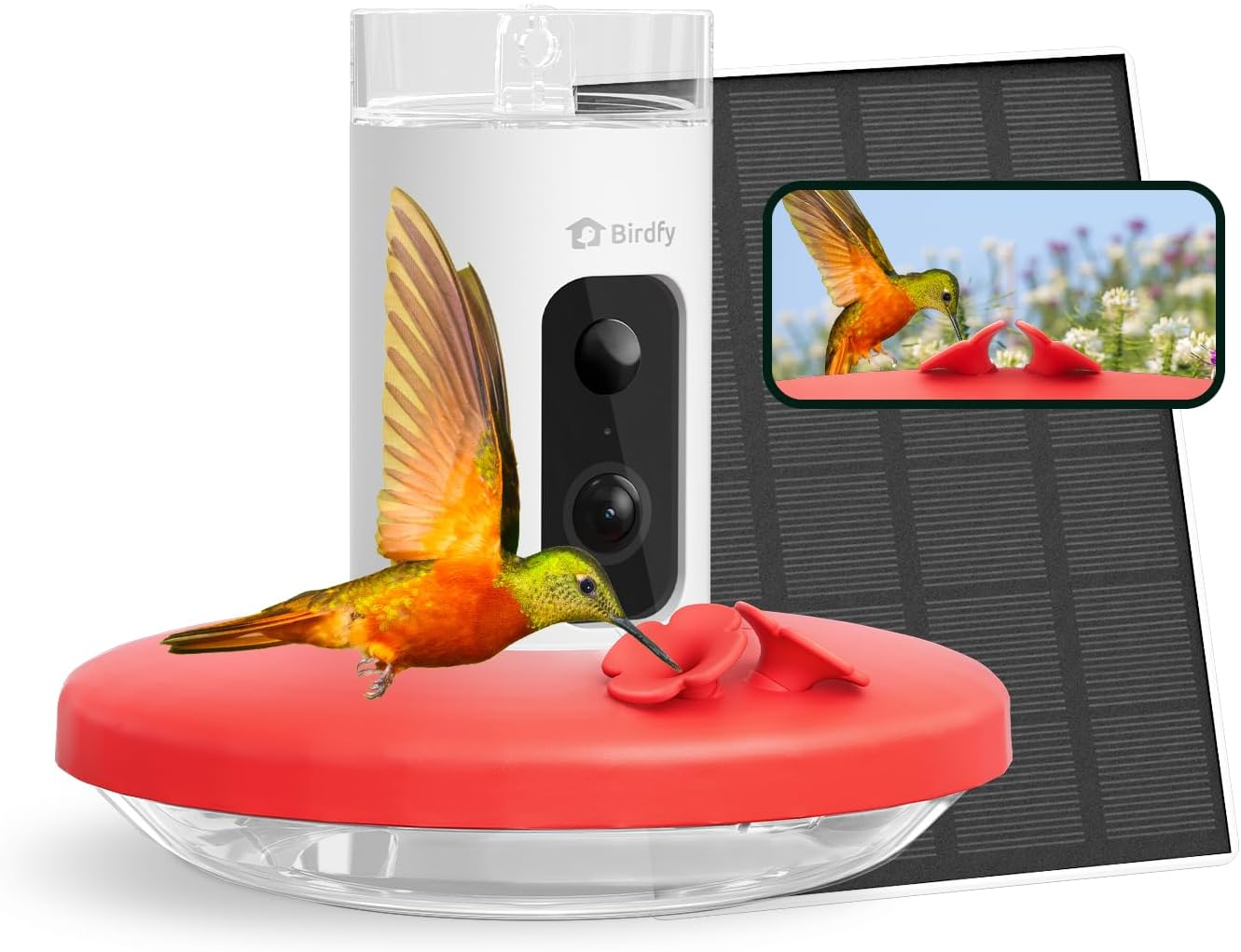 Birdfy Hummingbird Feeder with Camera & Solar Panel, Smart Bird Feeder with AI Recognition & Capture on Outdoors, Gardens, Easy to Clean, 14oz Capacity, SE