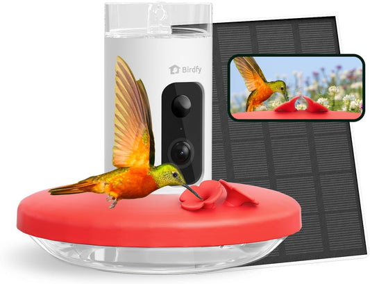 Birdfy Hummingbird Feeder with Camera & Solar Panel, Smart Bird Feeder with AI Recognition & Capture on Outdoors, Gardens, Easy to Clean, 14oz Capacity, SE