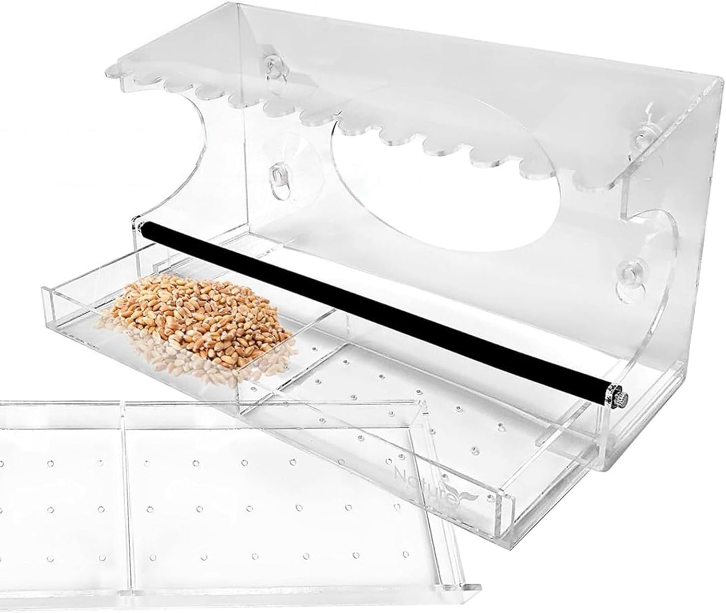 Nature Gear Acrylic Clear Window Bird Feeder with Strong Suction Cups,