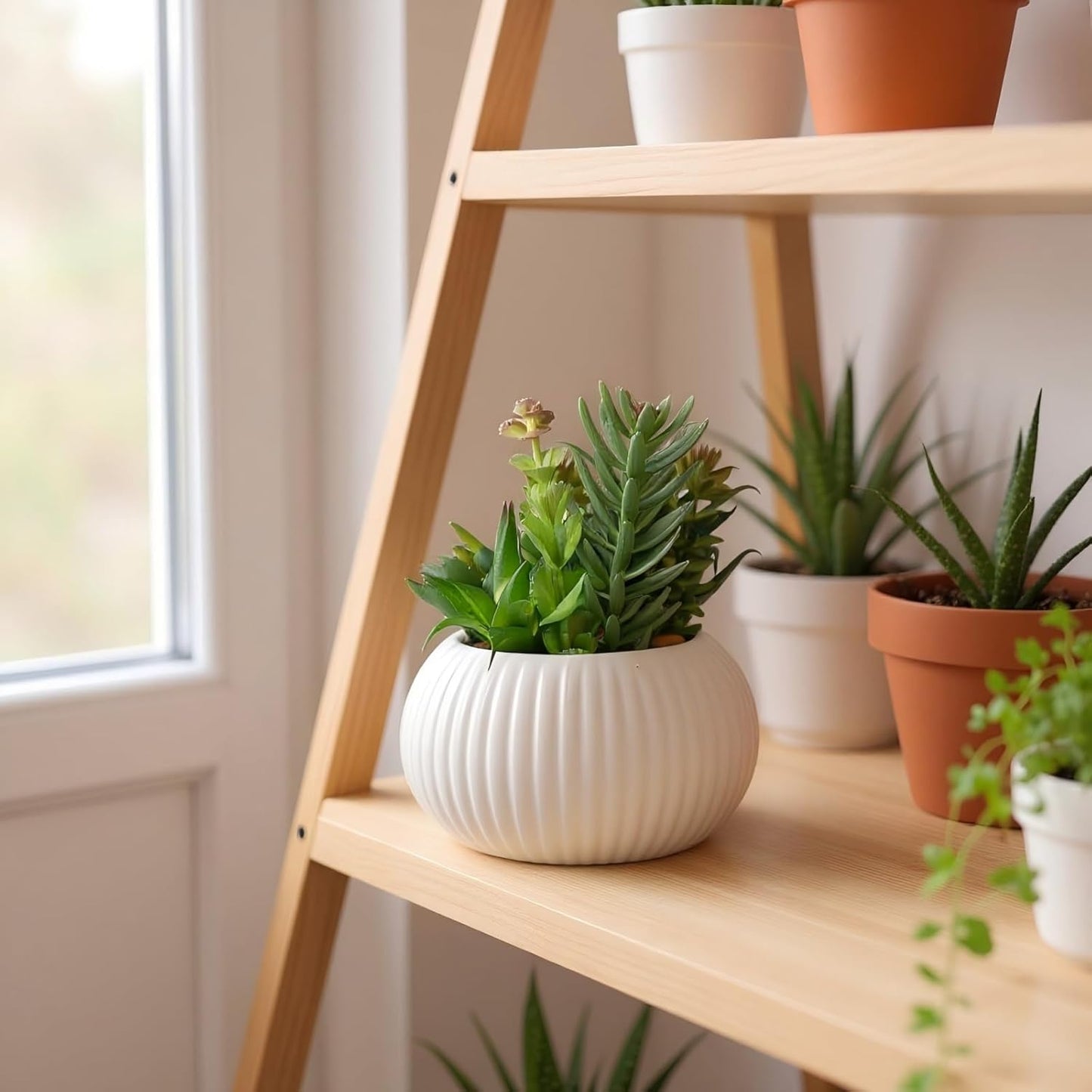 8 Inch Fake Plants Artificial Succulent Plants，White Ceramic Flower Pot，Assorted Faux Mini Succulents in a Decorative Planter Pot.