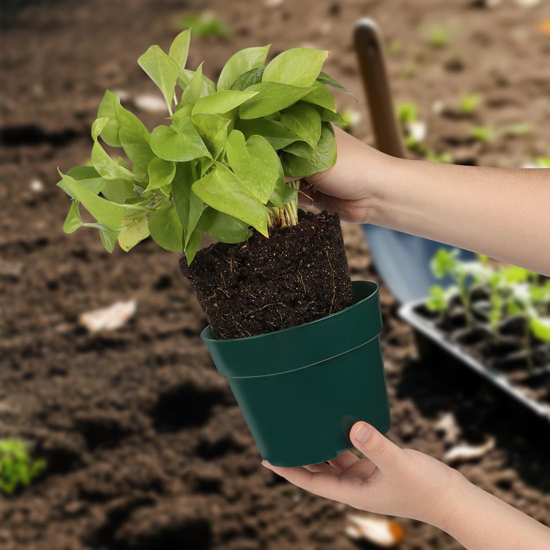 15 Pack 4/6/8 Inch Plant Nursery Pots, Sturdy Plant Pots with Drainage