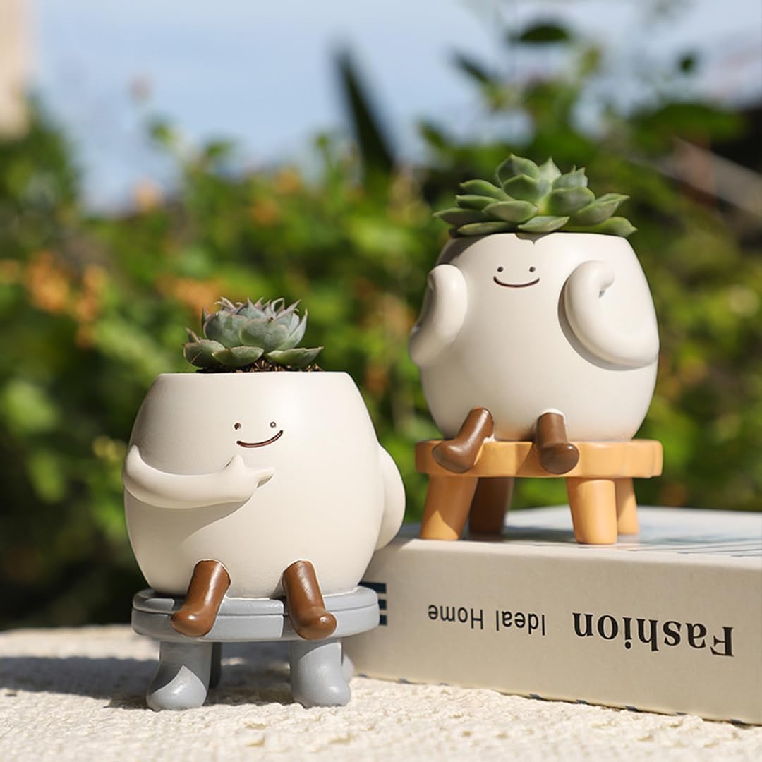 Cute Succulent Plants Pots Flowerpot, Pencils Holder Container (Starin