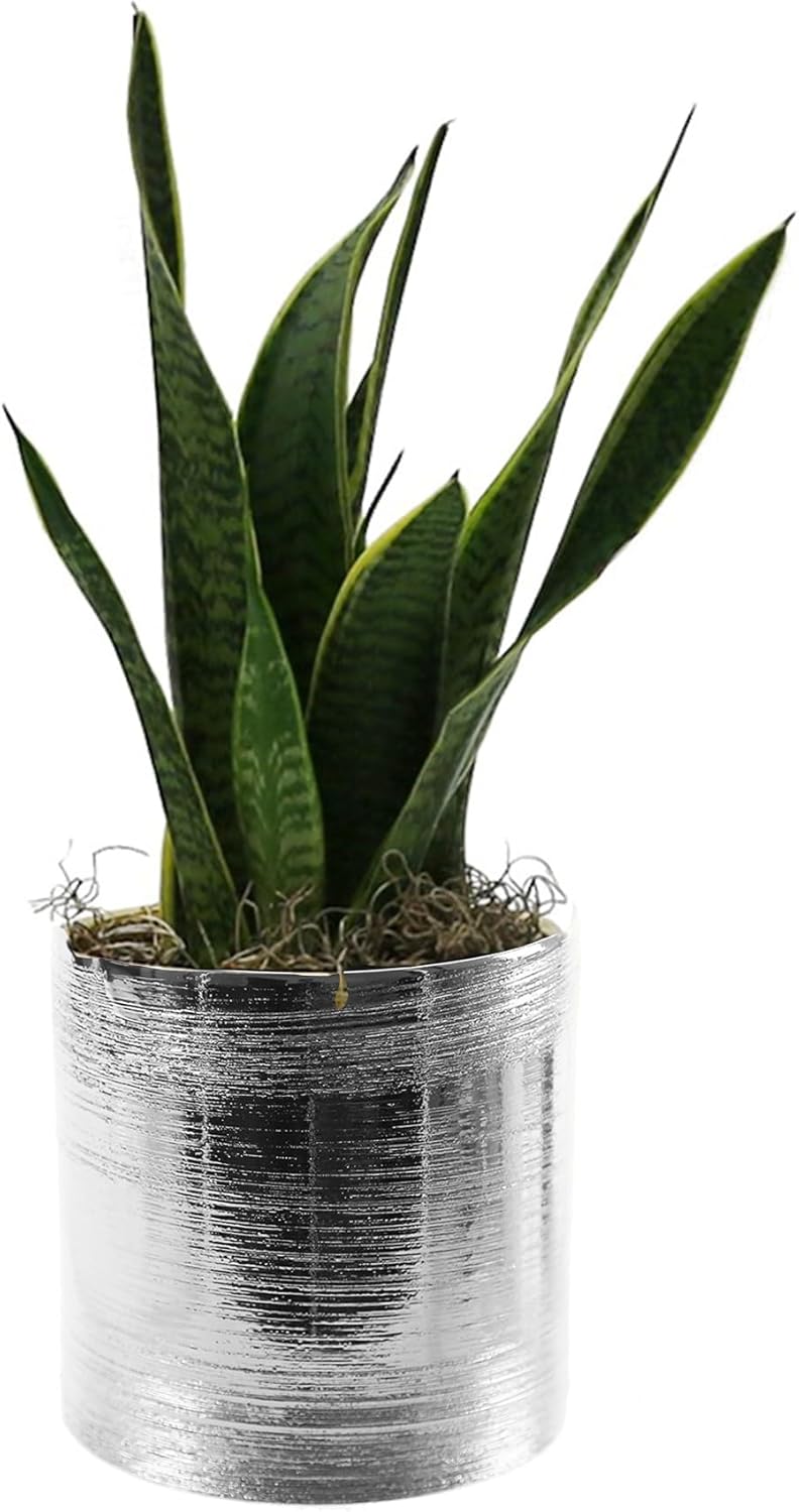 WGVI Silver Etched Ceramic Cylinder Vase Width 6.5" Height 6", Flower Arrangements, Candle Holder, Terrarium Planter Pot, Storage Container Organizer, Pen Brush Holder, Scratched Texture Design, 1 Pc