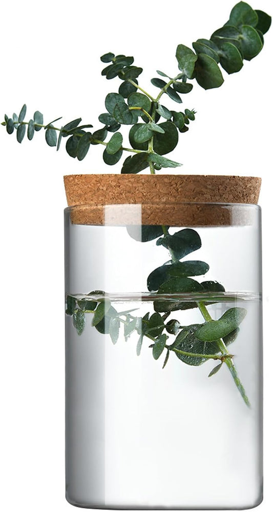 Clear Glass Planter Vase with Wooden Lid and Bamboo Stand for Hydroponic Plants, Succulents, Cut Flowers Gifts for Women Mom Plant Lovers (1, 2.55 * 3.93inch)