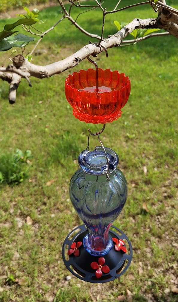 Ant Moat for Hummingbird Feeder - 9 OZ Extra Large Capacity Insect Guard - Red Daisy