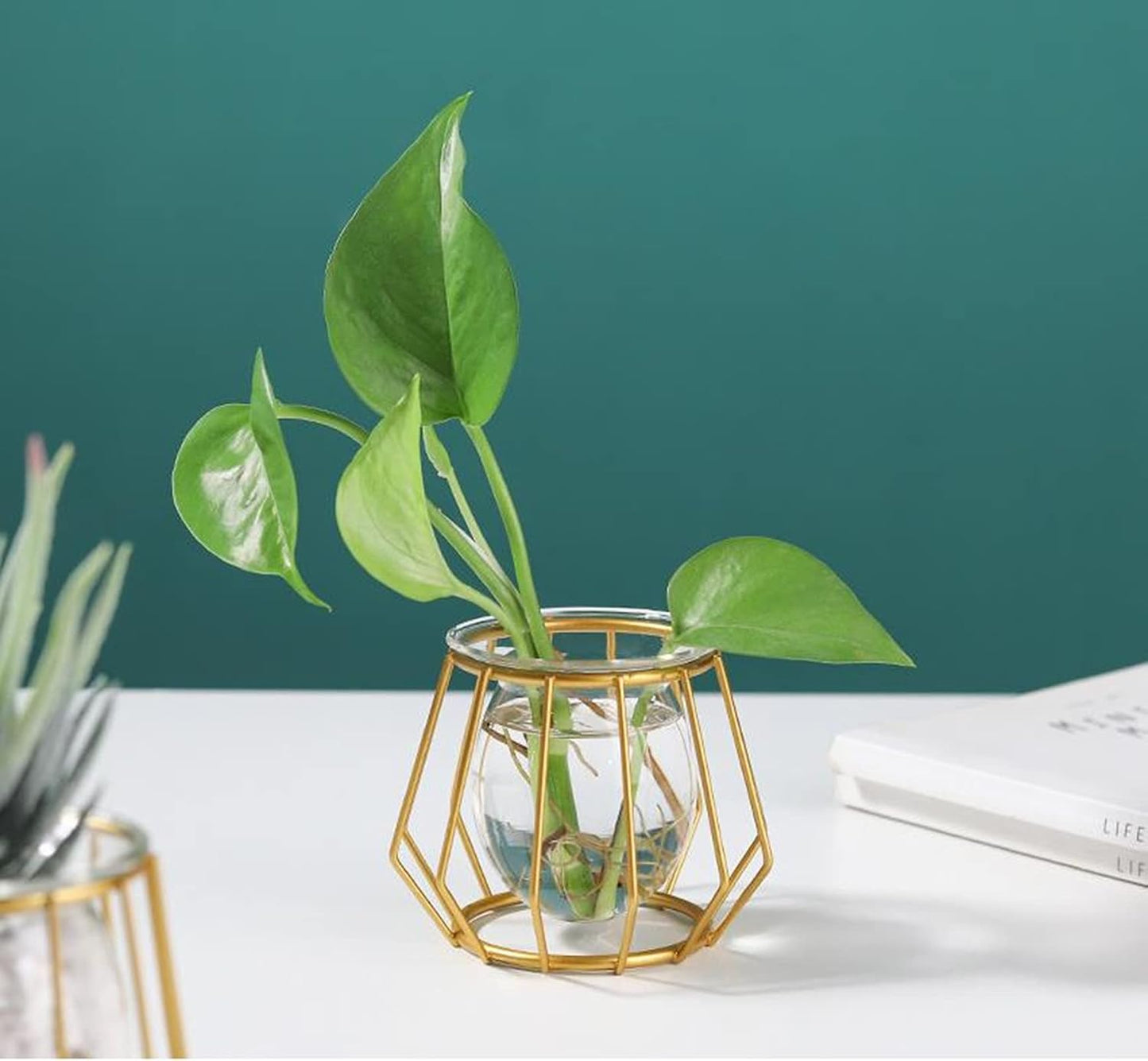 Glass Vase Nordic Small Flower Vase Clear Glass Bud Vases with Metal Geometric Iron Line Cup Vase Pot for Hydroponic Planter Flowers Rack Stand Modern Home Décor Desktop Table Vase Decor (Black,D)
