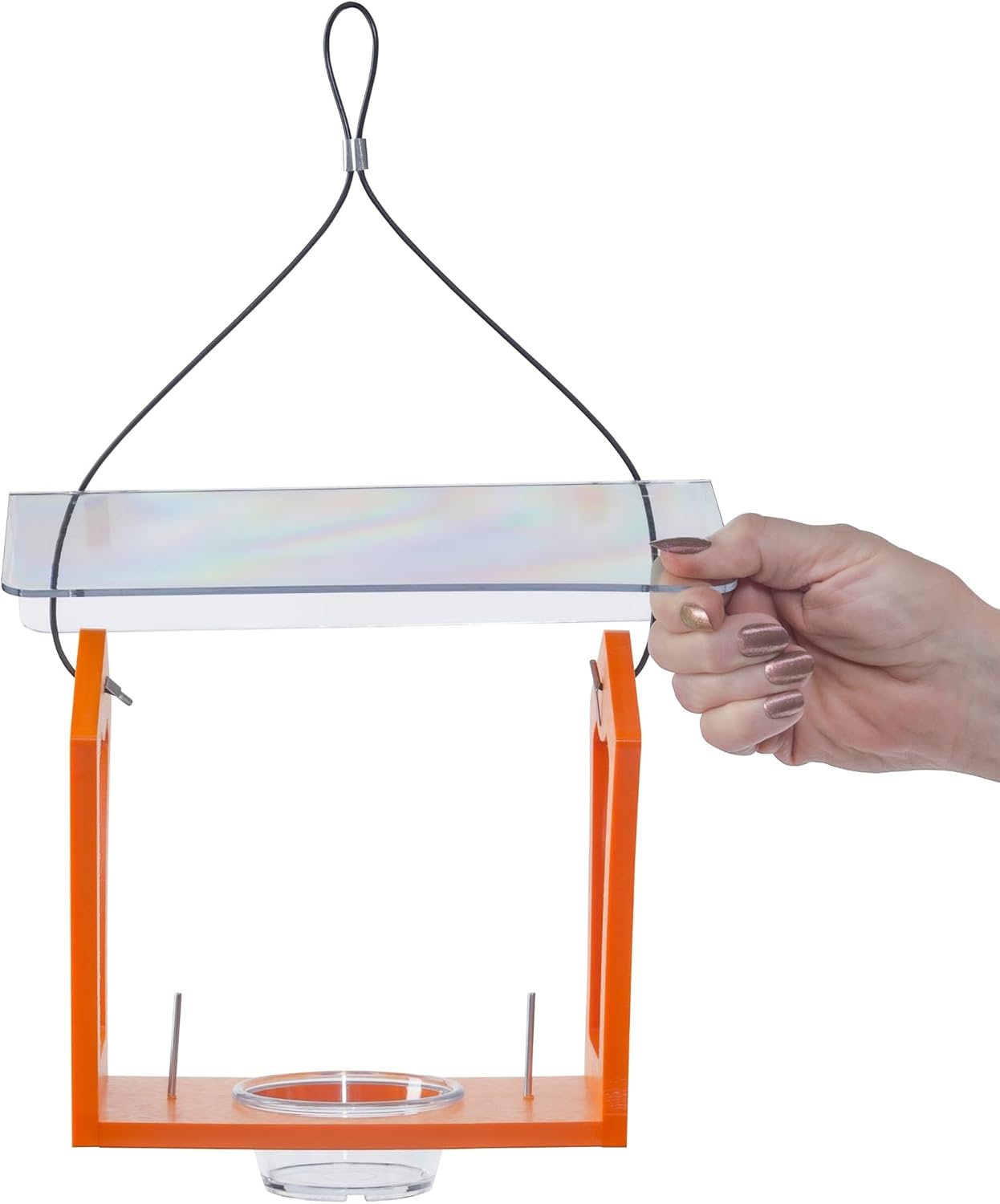 Birds Choice Oriole Bird Feeder | Hanging Bird Feeder for Jelly & Oran