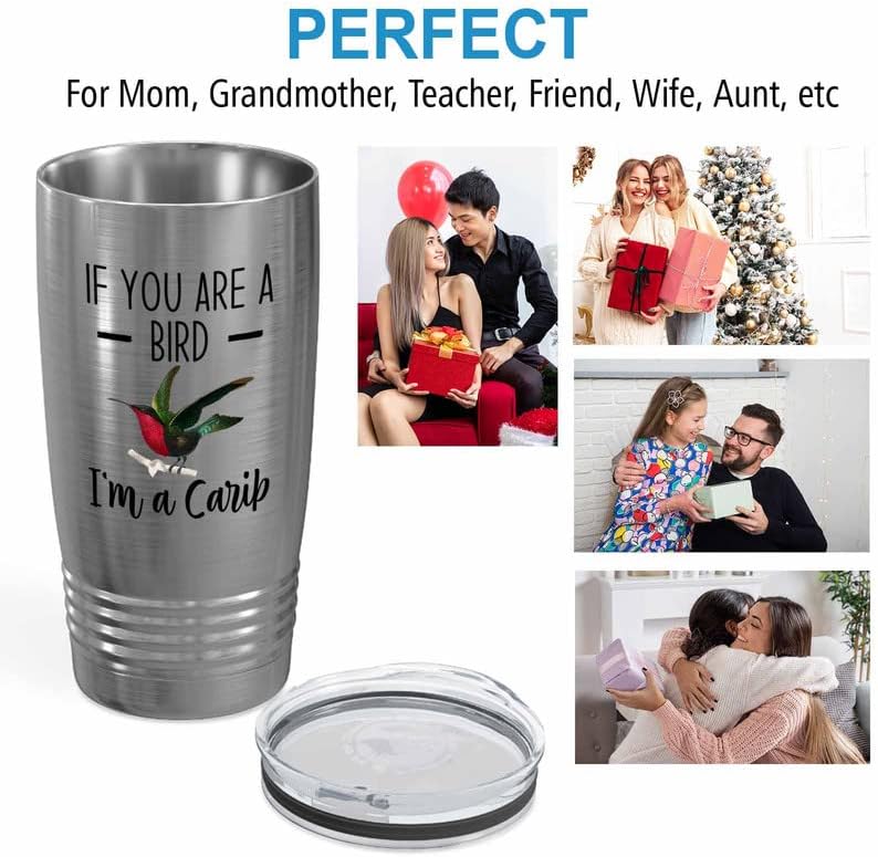 Bird Lover Silver Edition Viking Tumbler 20oz - Bird and Carib - Hummi