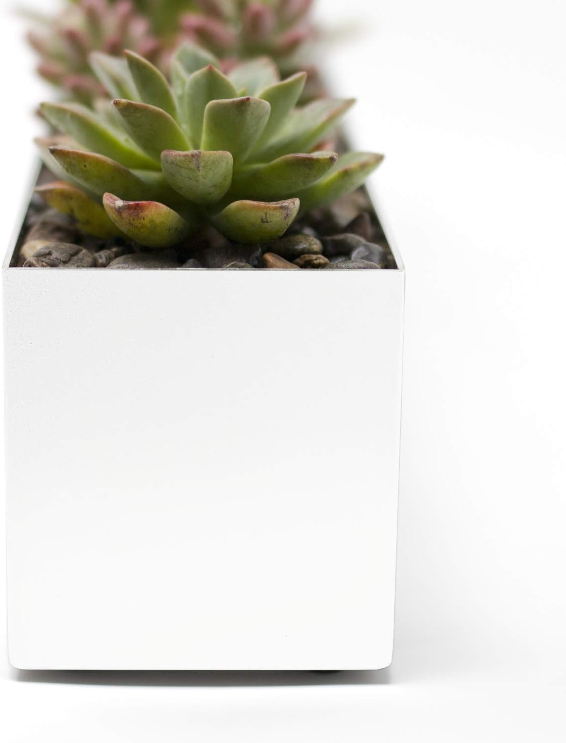 Buhbo Steel Rectangular Planter Box - 16 Inch, White - Modern Trough for Succulents & Small Plants, Indoor/Outdoor Use, Durable Alloy Steel with Drainage