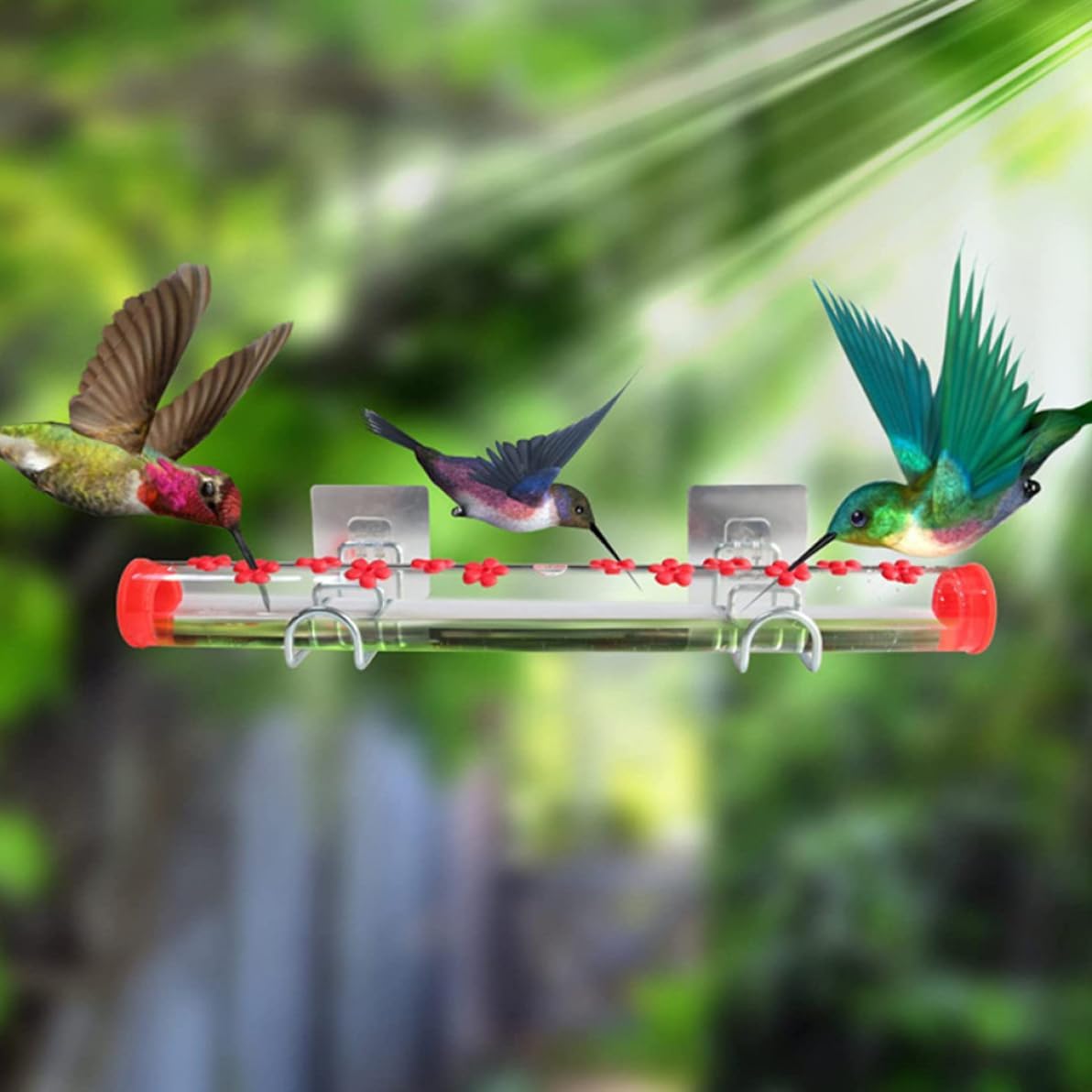 Window Hummingbird Feeder Bird Feeding Station with 12 Feeding Ports and Bird Habitat Perch Red 15.7 Inch. Bird Feeding Station