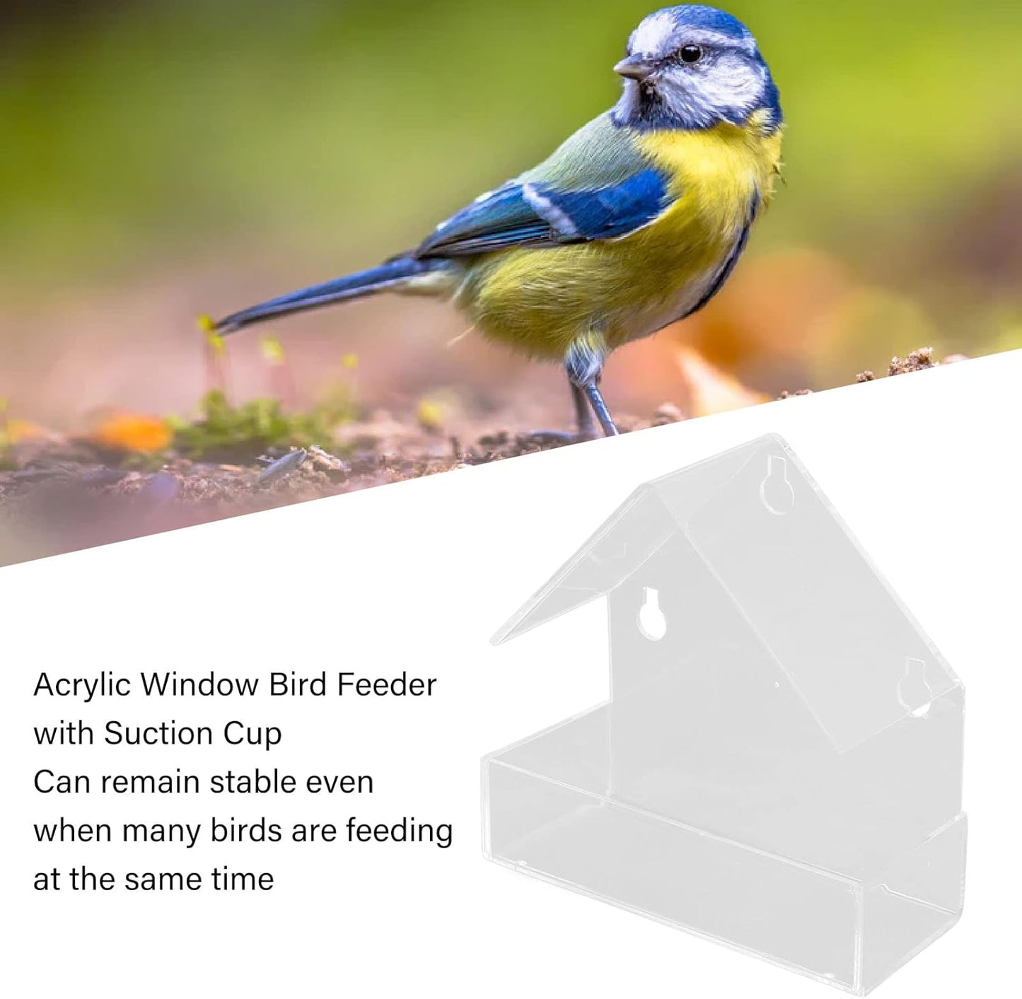Pilipane Transparent Window Bird Feeder with 3 Strong Suction Cups, Acrylic Bird Feeding Tray for Close Up Bird Watching in Your Farm Garden