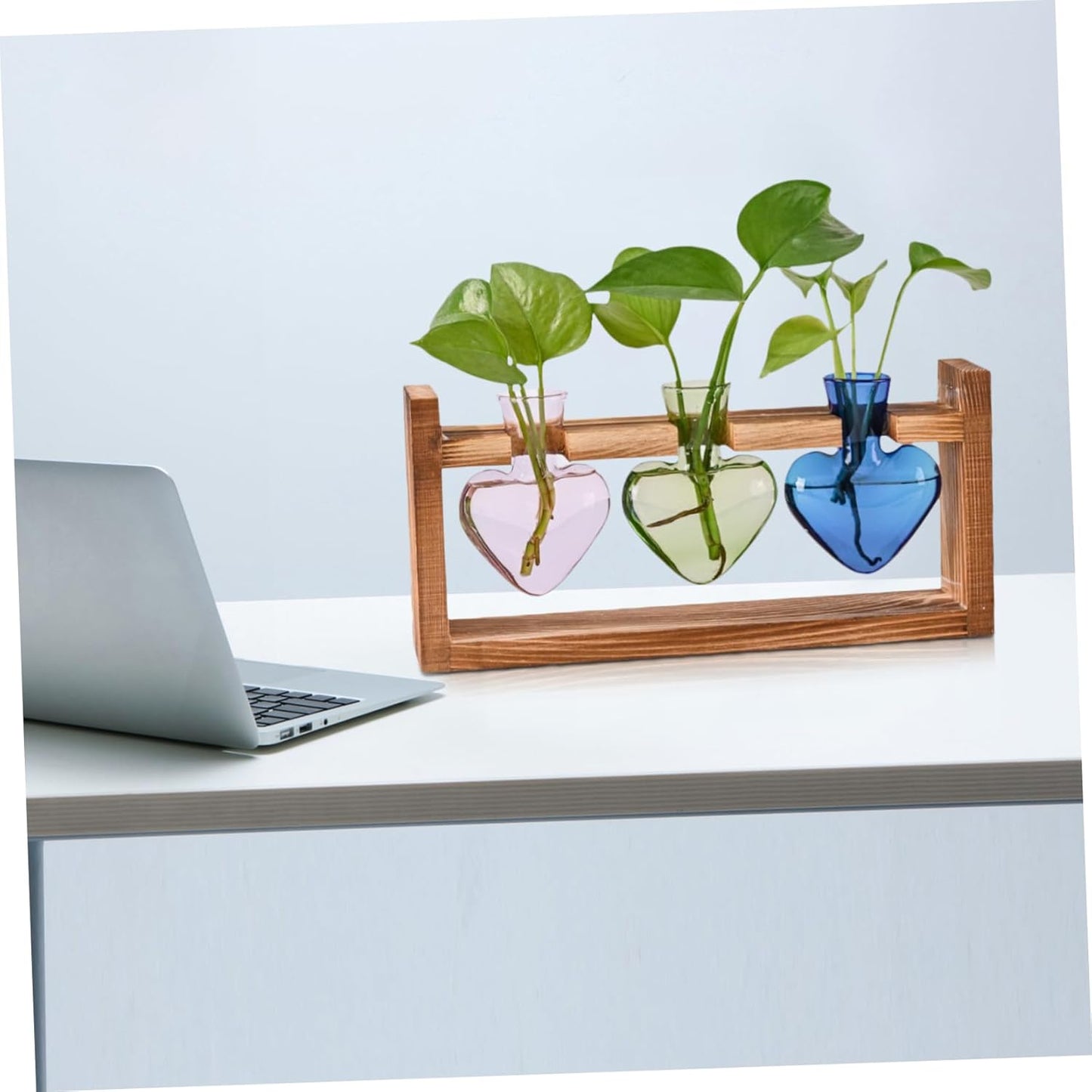 PRETYZOOM 3pcs Heart Shaped Hydroponic Glass Vase Transparent Flower Pot for Home Decor Cute Desktop Planter for Indoor Plants Elegant Tabletop Decoration