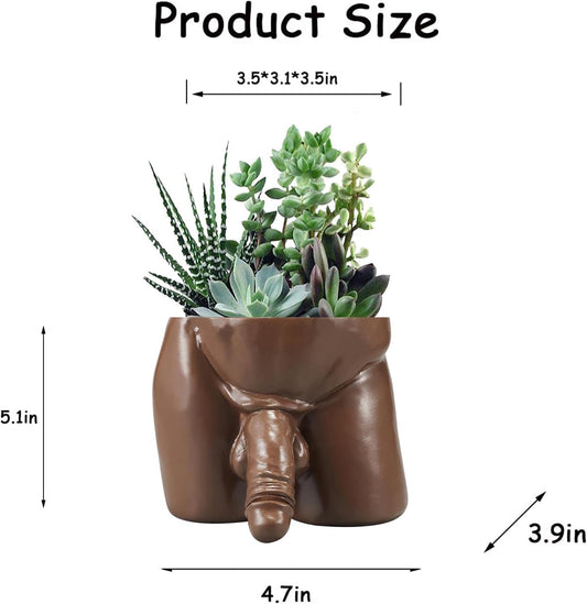Body Vases for Decor Penis Planter Cool Decor Pot, Male Plant Pots — Body Vase Christmas Valentine's Day Gift Unique Planter (Brown, L)