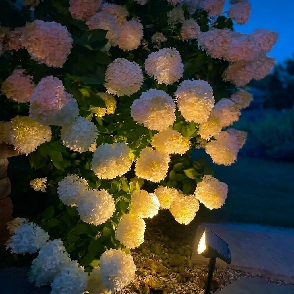 Solar Lights Outdoor Waterproof IP65, Solar Powered 76 LED 3 Lighting 