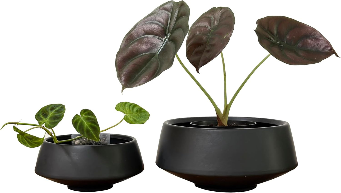 Admired by Nature Set of 6.5" & 9.5" Ceramic Flower Planters, Decorative Pot for Indoor Succulent Home Décor, Black