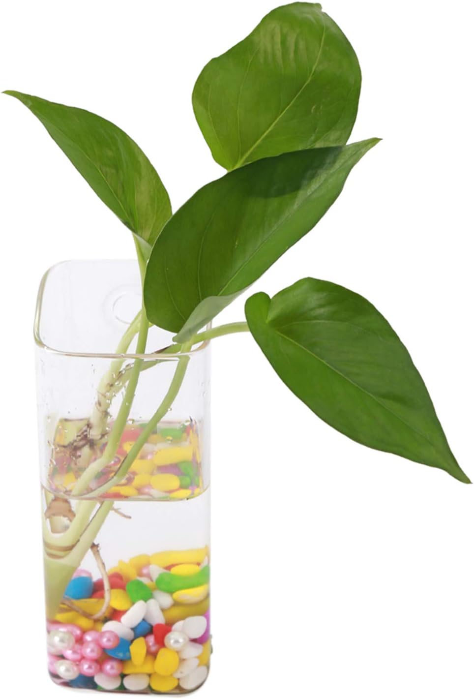 Hanging Glass Vase, Glass Vase for Plants and Flowers, Flower Planter Wall Hydroponic Aquarium Container Home Decor (Long Tube Shape)