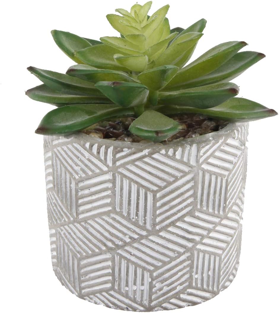 Flora Bunda Mid Century Artificial Plants Cactus Set of 2 Artificial Succulent in 3" Cement Pot Grey Planter, 2 Fake Potted Plants, for Home Office Decorations