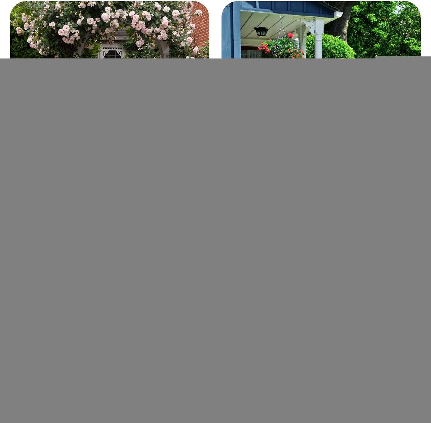 Wild Bird Feeders - Iron Vintage Outdoor Food Tray, Large Weatherproof Bird Feeder with Durable Design, Hummingbird and Finch Watching with Easy Hanging, Wildlife Feeding Accessory for Garden