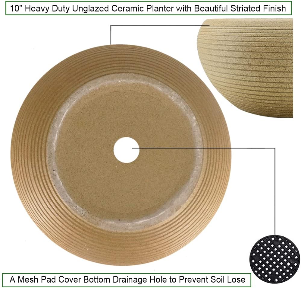 MUZHI 9.5” Round Large Ceramic Bonsai Bowl Planter，Clay Succulent Plant Pot Container with Saucer