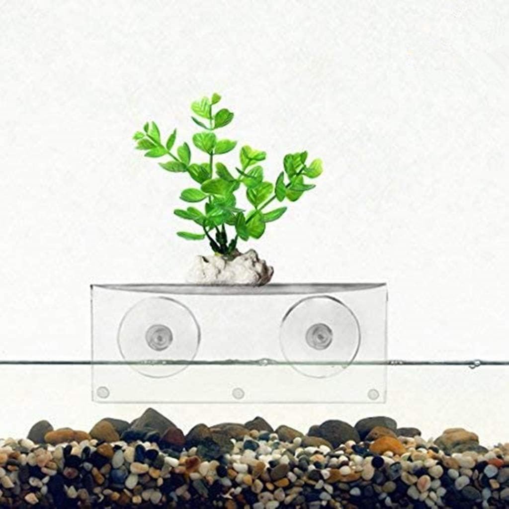 Suction Cup Window Shelf – Create Indoor Garden Hold Your Planter Pots Starter Figurines On Your Window
