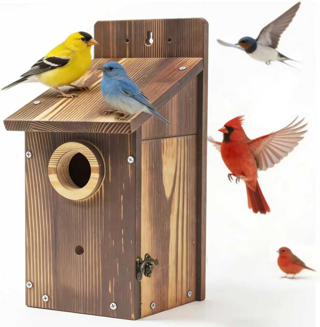 Natural Wood Birdhouse for Outside, Wooden Nesting Box with Circular Entrance Hole and Perch， Blue Bird Houses for Outdoors with Clear View Panel & Predator Guard for Blue Robin, Wren, Swallow