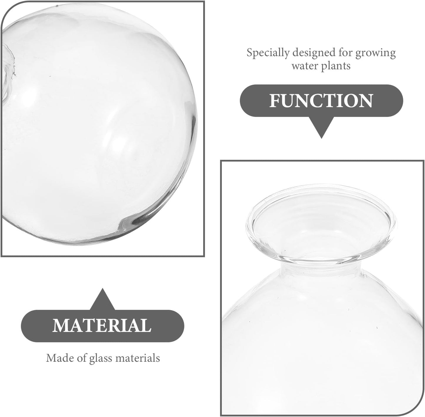 PRETYZOOM Avocado Seed Planter Glass Water Plant Vase Succulent Shape Hydroponic Flower Pot for Indoor Green Plant Propagation Home Décor