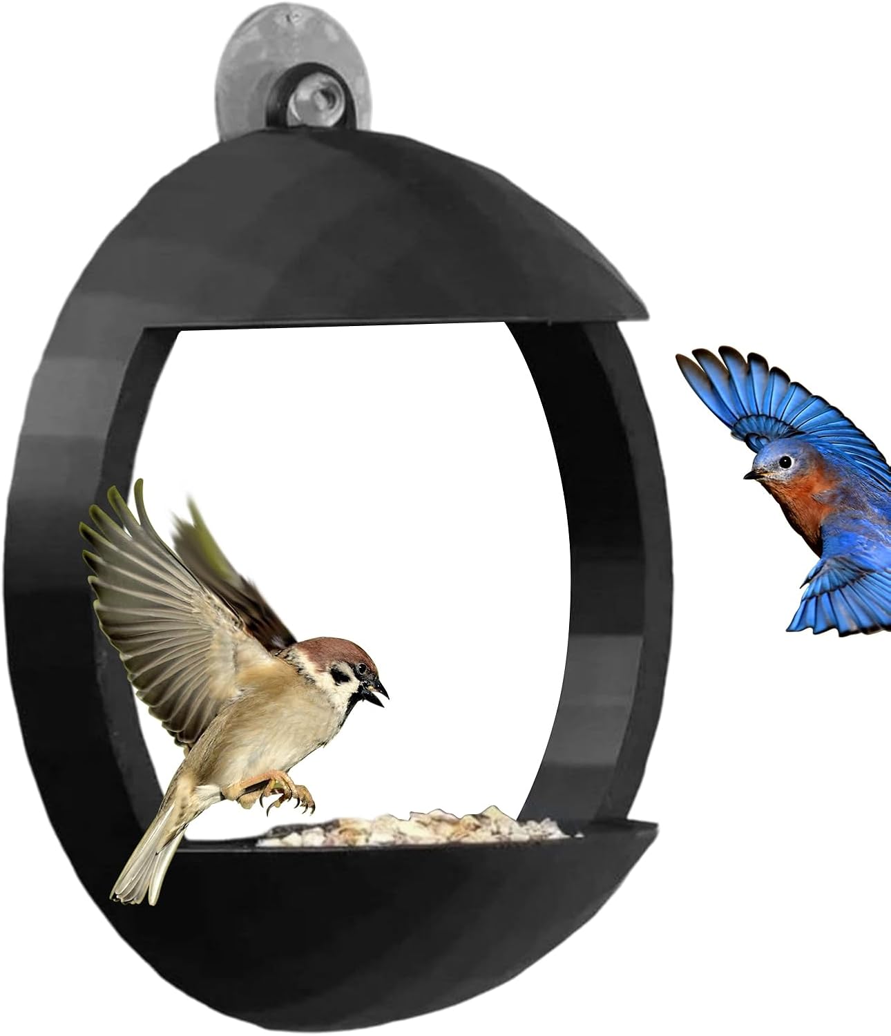 3D Printed Bird Feeder, Window Bird Feeding Station, 6x5 Inches Feeder with Strong Suction Cup, Birds Feeders, Transparent Feeders with Easy Mount, Birding Supplies for Patio and Home