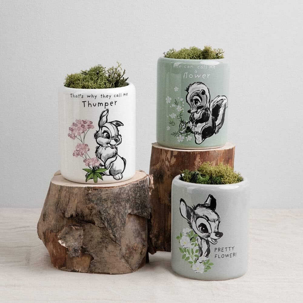 Disney Home - Forest Friends Set of 3 Character Indoor Small Pots