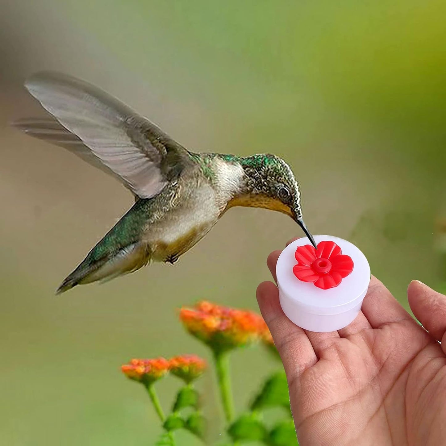30 Sets Hummingbird Feeders Replacement Flowers, Unique Replaceable Hummingbird Bird Feeder Flowers Bird Feeder Replacement Parts for Hummingbird Feeder Hanging Feeder (Red)