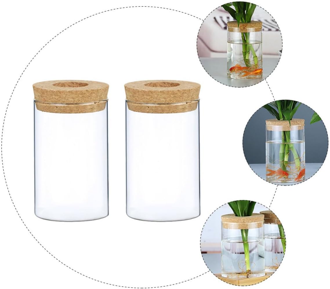 PRETYZOOM 2pcs Decorative Glass Vase with Wooden Cork Small Hydroponics Flower Pot for Indoor Greenery Stylish Planter for Home and Office Decor