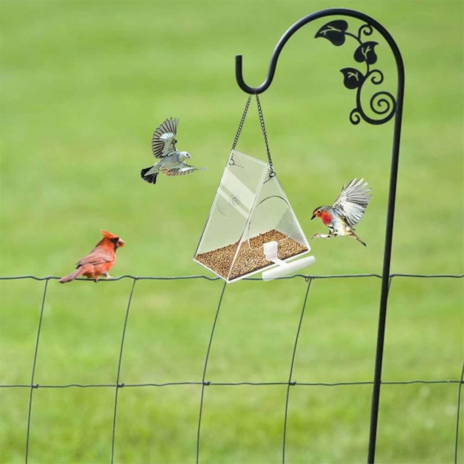 Clear Acrylic Bird Feeder Window Mount with Strong Suction Cup Food Bo